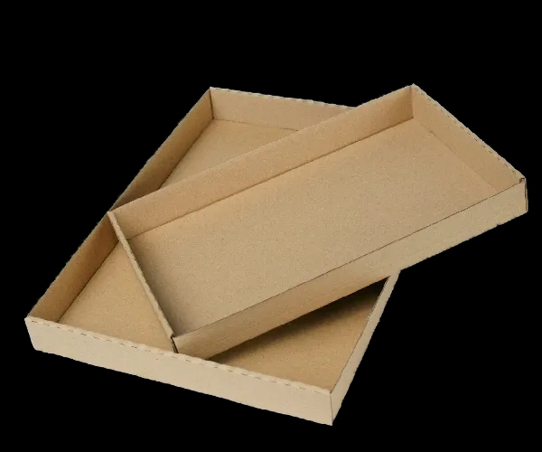 DSC08653.png